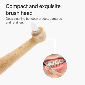 Têtes de rechange pour <span class=keywords><strong>brosse</strong></span> à dents en paille de blé écologiques, biodégradables, orthodontiques, électriques, à poils souples pour adultes - Product Image 1