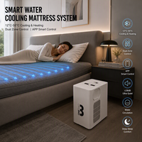 Système de refroidissement de lit - Matelas rafraîchissant et chauffant - Matelas à double température - Matelas pour les bouffées de chaleur
