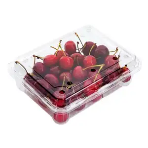 Großhandel Custom Clear Plastic Take Away 12 Unzen Salats ch üssel Verpackung PET-Box für Obst