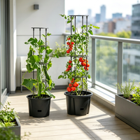 Supports de plantes grimpantes auto-arrosants, anneaux de support de jardin, jardinière avec treillis, tour de culture pour tomates