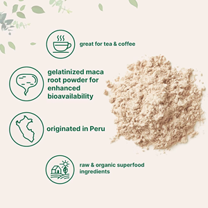 Suplemento en polvo de raíz de Maca OEM Mejora de la energía vegana Adaptógeno de grado peruano Premium para el equilibrio hormonal de resistencia - Product Image 5