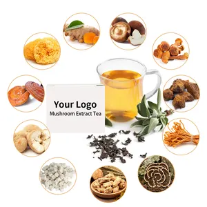 OEM Organic Muhroom coffee Health Herbal Tea with 2 Years Shelf Life Blended Tea FLAVORED Tea Support Sample