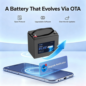 Batterie de remplacement pour voiturette de golf MINI LiFePO4 Lithium 51.2V100Ah 3000+ cycles (105AH 200AH 300AH) avec chargeur rapide et application intelligente - Product Image 3