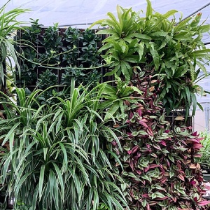 Vườn ong thân thiện với môi hệ thống thủy canh nông nghiệp gieo trồng vườn trồng cup miếng bọt biển than bùn đất - Product Image 4