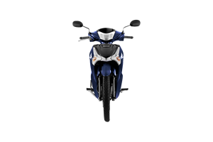 Motocicleta PGM-FI de 125cc, Edición Estándar, Azul y Negro, Versión con Ruedas de Rayos Resistentes, Motor de Gasolina de Bajo Consumo - Product Image 2