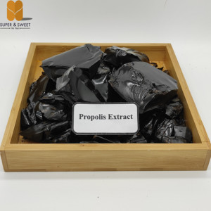 Extrait de <span class=keywords><strong>Propolis</strong></span> d'Abeille Solide Biologique Naturel en Bloc 98% Pur 100% Soluble dans l'Eau Vert Raffiné en Vrac 1 Kg Meilleur Prix - Product Image 1