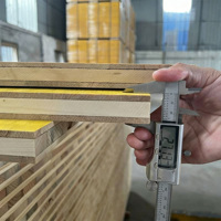Panel de Encofrado de Abeto Moderno de 3 Capas, Resistente a la Corrosión y al Agua, de Primera Calidad para Estructuras