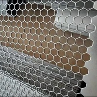 Placa Metálica Perforada Personalizada y Placa Perforada para Fines de Protección/Decoración