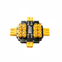 Module PCBA de batterie externe 300A HL80007 pour drone FPV, quadricoptère, ESC, fabriqué à Guangdong, marque HL