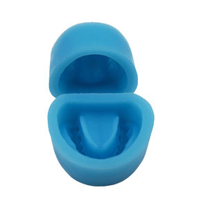 Full Arch Dental <b>Silicone</b> <b>Rubber</b> Mold Full Dentition Mold of Holostomatous Teeth Model - Product Image 6
