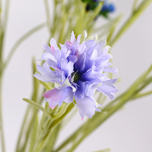 Fleur artificielle en soie de <span class=keywords><strong>bleuet</strong></span> en gros, tige unique de 68 cm, pour arrangements floraux à domicile et mariages, approvisionnement en vrac - Product Image 5