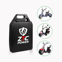 Batterie de trottinette électrique en gros 60V 48V 12Ah 20Ah 24Ah 40Ah 800W 1000W 2000W pour trottinette Citycoco avec batterie LiFePO4 amovible