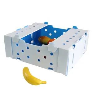 Factory Direct Wholesale Plastic Fruit And Vegetable Packaging Box