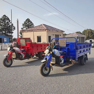Nouvelles motos à essence de 250 cm3 et tricycles de transport, motos à essence à trois roues - Product Image 3
