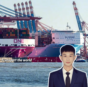 China Arabia Saudita Emiratos Árabes Unidos Bahrein Qatar Kuwait Omán Servicio de transporte marítimo puerta a puerta DDP LCL + Express - Product Image 2