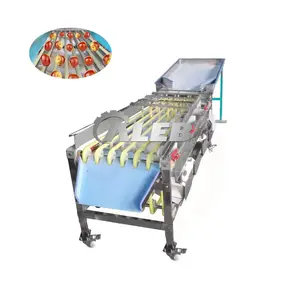 Industrial high efficiency walnut tomato sorting grading machine guava grader