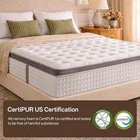 Matelas hybride compressé en mousse à mémoire de forme de qualité hôtelière, taille Queen, 12 pouces, avec ressorts ensachés