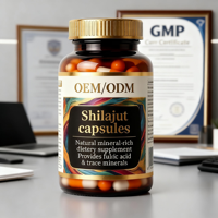 Capsules de Résine de Shilajit Pur – Soutien Énergétique et d'Endurance – Supplément de Shilajit en Vrac – Certifié GMP ISO – Riche en Acide Fulvique – Adaptogène – Vitalité – OEM