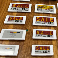 Kit de Etiquetas de Precio Digitales de 2.9 Pulgadas, BLE 5.0, Etiqueta Electrónica para Estantes, Pantalla de Tinta Electrónica, Paletas de Liquidación, Sistema EAS para Almacenes