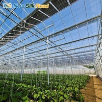 Serre agricole multi-spans de grande taille de haute qualité, avec système de ventilation, cadre en acier galvanisé à chaud, verre photovoltaïque solaire