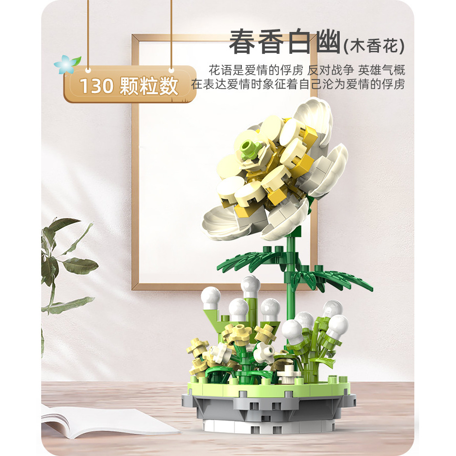 Haruka Hakuyu - 130 pièces