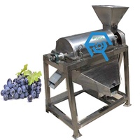 Commerciële Fruit Pulp Sap Making Machine Voor Oranje Perzik Ananas Watermeloen Druif Mango Citroen Aardbei