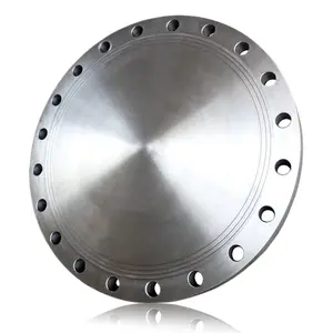 Large Diameter Oxidation Resistance Flange Cover Long Service Life Multiple Specifications Steel Blind Flanges