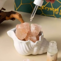Diffuseur d'arômes en pierre de cristal, coffret cadeau d'aromathérapie, parfum durable pour la maison, le salon - Utilisation toute saison