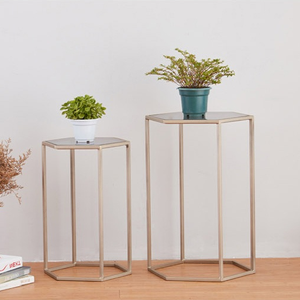 Juego moderno de estilo europeo nórdico de 2 mesas de centro anidadas hexagonales <span class=keywords><strong>Mesa</strong></span> De Caf - Product Image 1