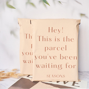 Busta per corriere in plastica con logo stampato personalizzato cartelle per imballaggio spedizione postale per <span class=keywords><strong>posta</strong></span> - Product Image 2