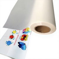 Lámina DTF A3 de 30 cm, Película PET de Doble Cara, Alta Temperatura, Despegue en Frío, Papel de Transferencia de Calor Instantáneo, Negro para Ropa Digital