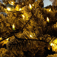 Klare Farben Weihnachten Mini Glühlampen Lichterketten Clear Green Wire Weihnachts lichter Set Weihnachts baum Lichter für Weihnachten