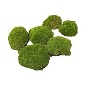 Blok Lumut Simulasi Bryophytes, Batu Penanam Rumput, Dekorasi Rumput Buatan, Lembut, Untuk Penggunaan Dalam/Luar Ruangan, Pernikahan, Luar Ruangan