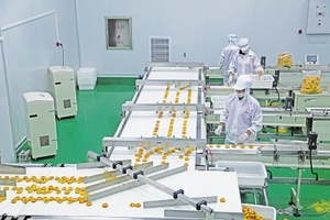 Vente en gros de boissons énergisantes <span class=keywords><strong>Red</strong></span> Bulls (250ml) de Chine-Formule originale classique, prix direct usine | Boissons gazeuses - Product Image 6