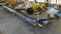 Machine de tri automatique par poids, trieuse pondérale, classificatrice de poids pour fruits de mer, crabes, poissons