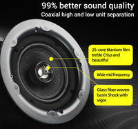 2* Hi-Fi Sesli Akıllı Tavan Hoparlörleri 5.25 İnç Ev Sineması Ticari Stereo Arka Plan Müzik Sistemi S56 Ble özellikli