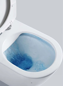 WC Moderno Sospeso a Parete con Cassetta dell'Acqua Nascosta, Sanitario Monoblocco a Sospensione per Bagno - Product Image 4