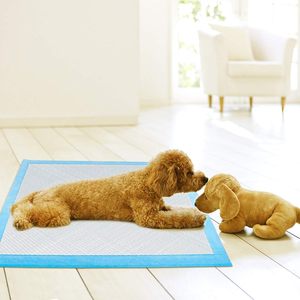 Coussinets d'entraînement jetables écologiques 56x56CM pour l'apprentissage de la propreté des chiots, super absorbants, <span class=keywords><strong>anti</strong></span>-fuites, usage quotidien - Product Image 2