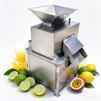 Automatische Mango Sapmaker Passievrucht Sapcentrifuge Granaatappelpers Machine