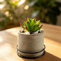 Pot de fleurs rond en ciment de style industriel avec support métallique, jardinière en béton pour balcon, plante succulente, couleur personnalisée