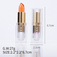 Lápiz Labial Mágico Mate Hidratante de Alta Calidad Profesional con Logotipo Personalizado al por Mayor, Cambia de Color Rojo, Impermeable, Vegano y de Larga Duración