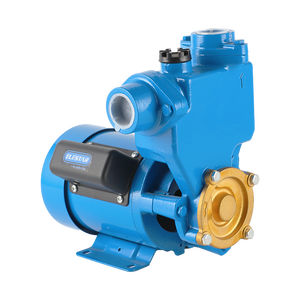 Pompe à eau de surpression commerciale automatique industrielle auto-amorçante haute pression 0,5 CV à moteur CC pour irrigation PS-126 - Product Image 3