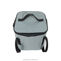 Fabrieksdirect 12.5L Moderne Geïsoleerde Lunchkoeltas voor Picknicks met Thermische Technologie, voor Wijn en Eten, Aangepaste Kleur