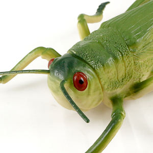 Juguete de Saltamontes de Plástico, Modelo de Insecto Hueco Natural de 8 Pulgadas - Product Image 2