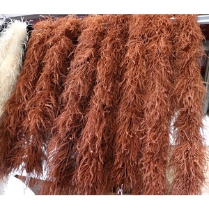 Plumas de Avestruz Teñidas de 10-15 cm, Económicas, Grandes, Gruesas, de 10 Capas, 2 Metros, para Manualidades y Ropa - Product Image 2