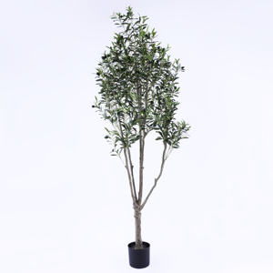 Vente en gros de plantes artificielles au look réel de <span class=keywords><strong>2</strong></span>.6 mètres, <span class=keywords><strong>olivier</strong></span> en pot dans un pot en plastique pour intérieur et extérieur - Product Image 5