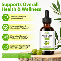 SOLOTREE Complément alimentaire végétalien sans alcool à l'extrait naturel de feuille d'olivier, antioxydant, soutien immunitaire, gouttes liquides d'oléuropéine pour adultes