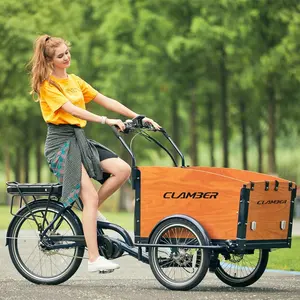 New design electric 3 wheels wooden box pet large dog stroller