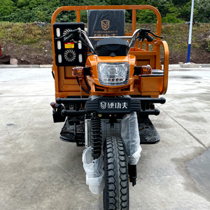 Motocicleta <span class=keywords><strong>de</strong></span> Doble Rueda Trasera con Sistema <span class=keywords><strong>de</strong></span> Descarga Hidráulica YGF150ZH-3, Triciclo <span class=keywords><strong>de</strong></span> Carga con Motor <span class=keywords><strong>de</strong></span> 300 CC <span class=keywords><strong>de</strong></span> Cilindrada - Product Image 2
