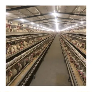 Chicken Poultry House Design Poultry Farm Equipments Be Used To Chicken House